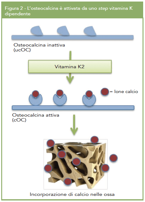 integrazione14