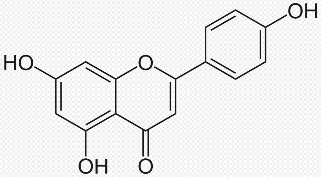 flavonoidi